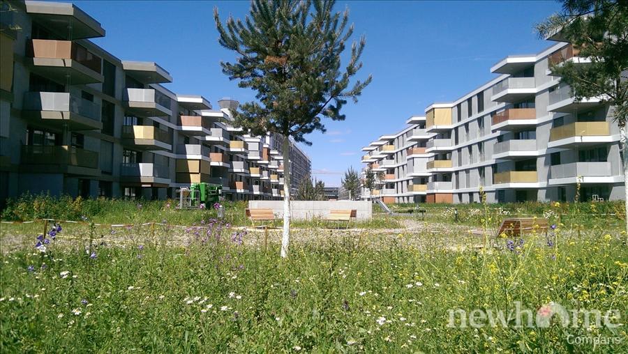 Bild Wohnung im Erlenmattquartier